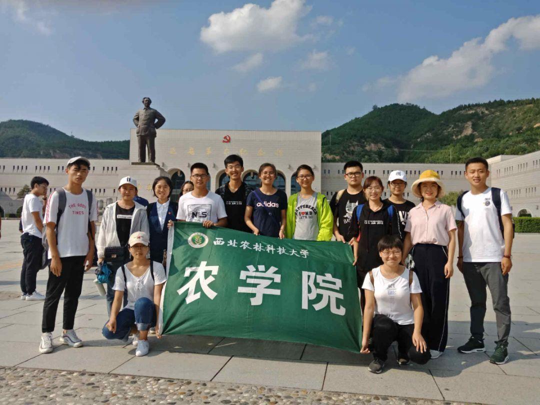 对不起，我弃剧了！《要久久爱》一级演员都带不动两个“拖油瓶”